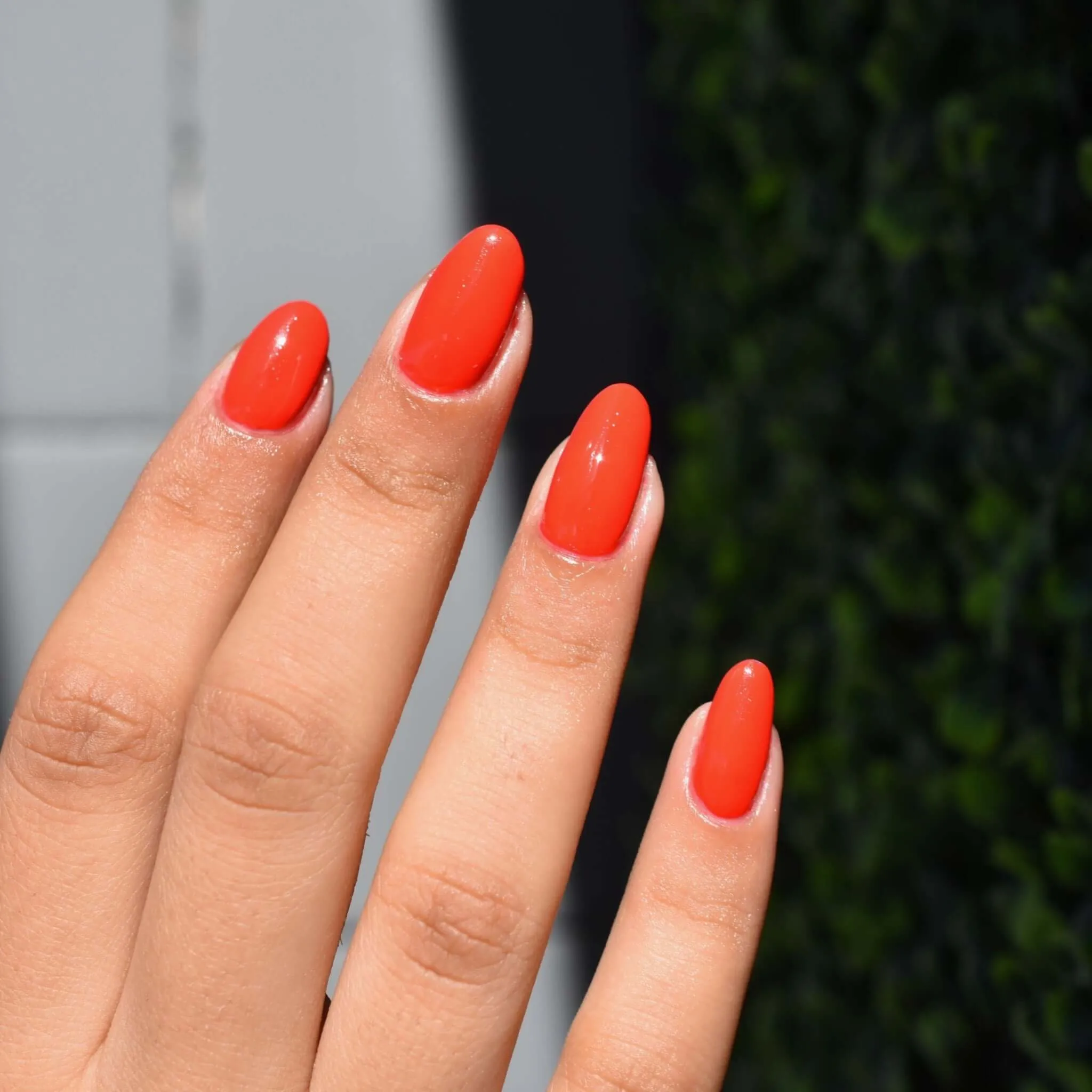 Cheep Thrill Nail Polish