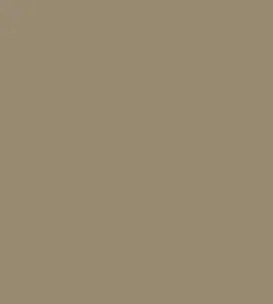 NIOR Super Long Lasting Eyeliner (1.2gm)