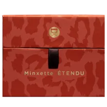 Viseart Eye Shadow Palette Minxette Etendu