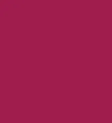 Zayn & Myza Transfer-proof Power Matte Lipstick (3.2g)- Cherry Nectar